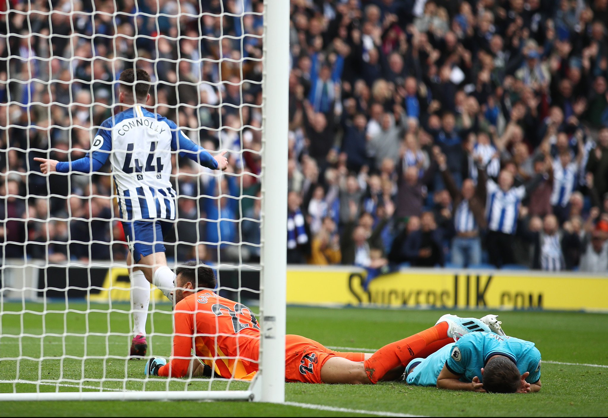 上海海港主 上海海港主